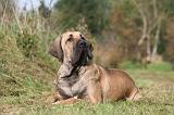 FILA BRASILEIRO 008